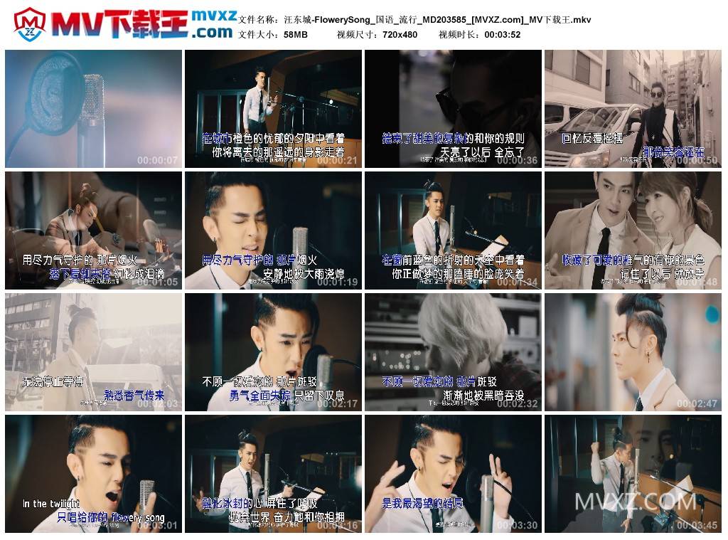 汪东城-FlowerySong_国语_流行_MD203585